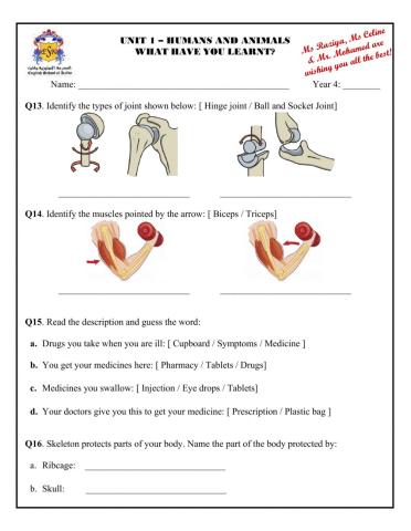 Revision States of Matter