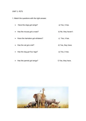 Animals. Have got and has got.