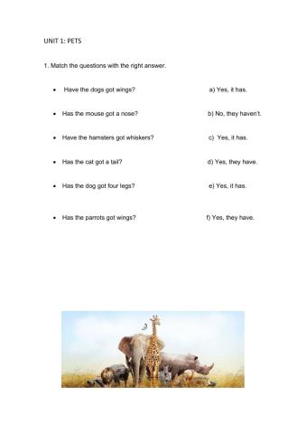 Animals. Have got and has got.