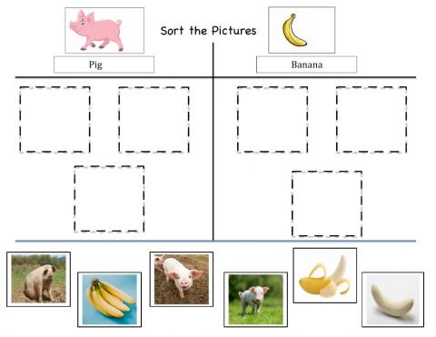 Sorting images of pigs and bananas