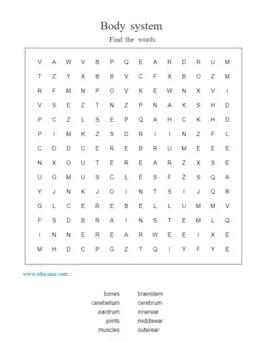 Body system vocabulary