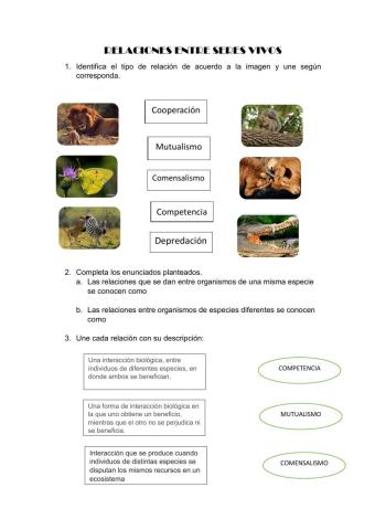 Relaciones entre seres vivos