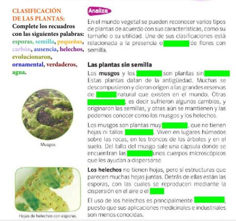 Clasificación de las plantas parte 1