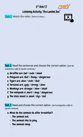 3rd Kids T.T - Listening Activity