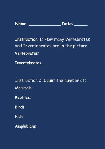 Mammals, amphibians, birds, fish, and reptiles.