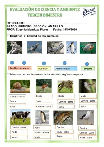 Evaluación de Ciencia y Ambiente