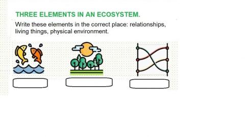 Ecosystem elements