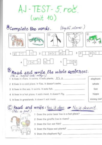 Test AJ 5. roč. Unit 10