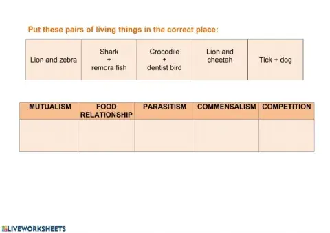 Ecosystems relationships