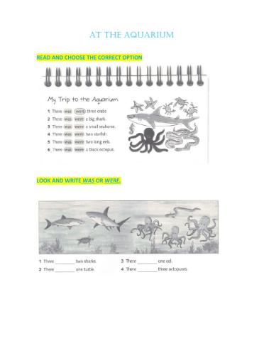 There was and there were