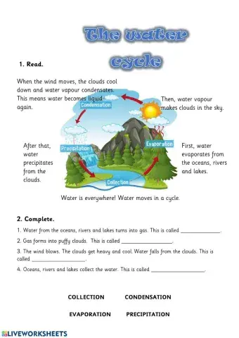 Water Cycle