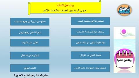 ورقة عمل الحواس عند الحيوانات