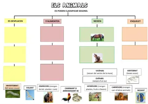 Els animals
