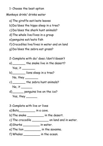 Present simple- animals