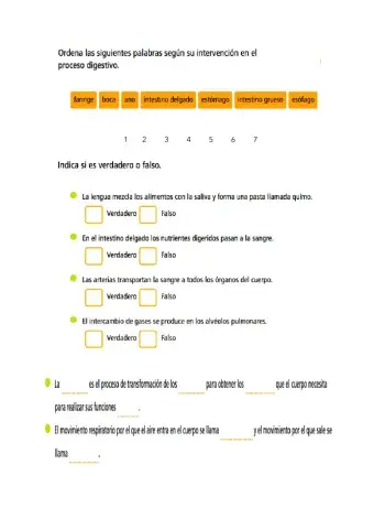 Sistemas de la nutrición