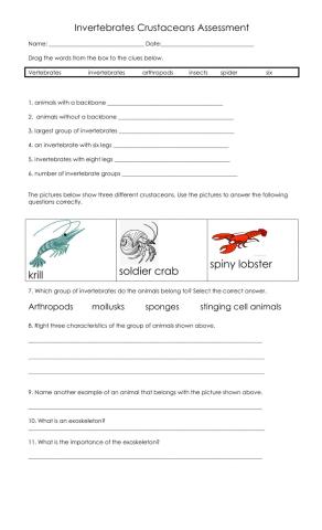 Invertebrates - Crustaceans