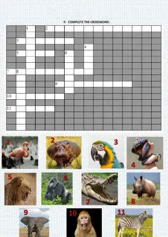 Crossword animals.