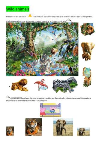 Wild animals big and small