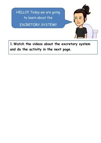Excretory system