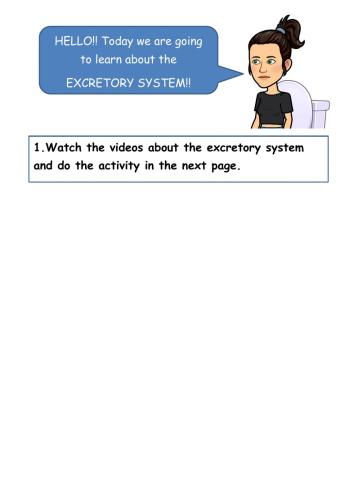 Excretory system
