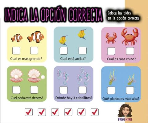 Cual es la opción correcta