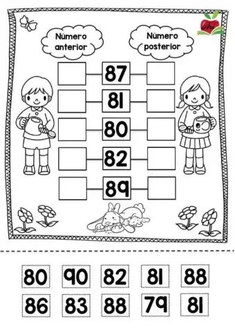 Familia numérica del 80