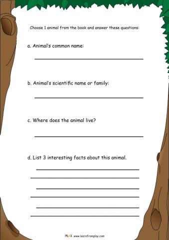 A Hollow is A Home - Animal Information