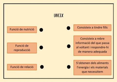 Unir funcions de relació