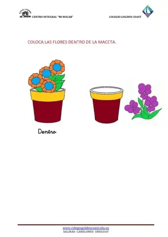Macetas y flores