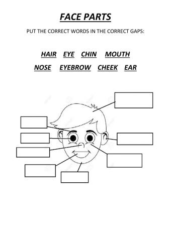 Faceparts