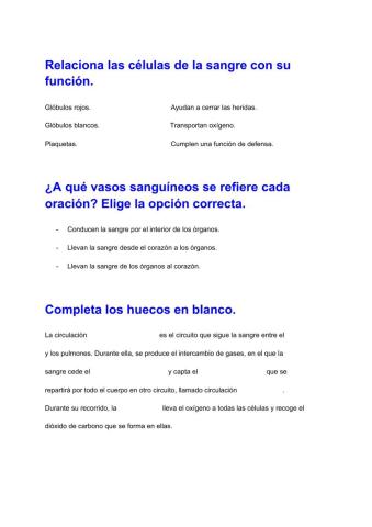 Aparato circulatorio