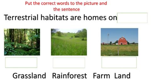 Terrestrial Habitats