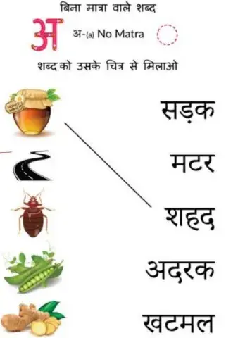 मात्रा ज्ञान