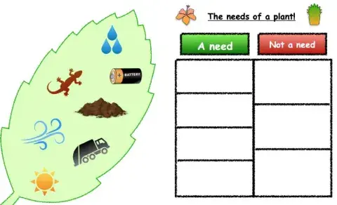 The Needs Of A Plant