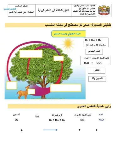 البناء الضوئي ج3