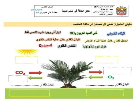 البناء الضوئي و التنفس الخلوي