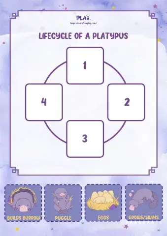 Sleep Tight, Platypup - Life Cycle