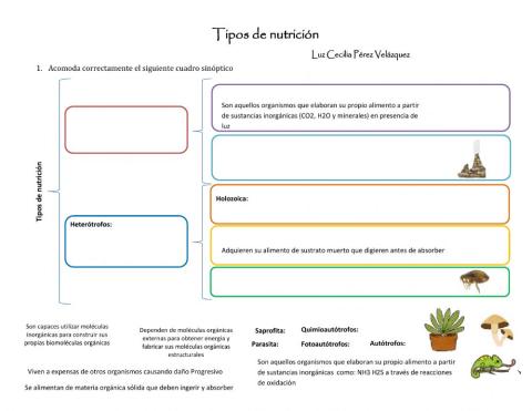 Tipos de nutrición