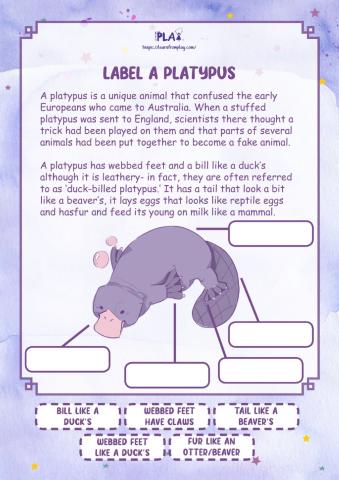 Sleep Tight, Platypup - Label A Platypus