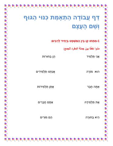 התאמת כינוי גוף לשם