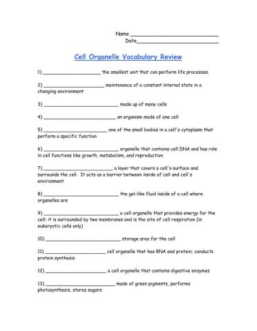 Cell Organelle Vocabulary