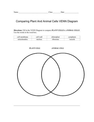 Plant & Animal Cell Venn Diagram