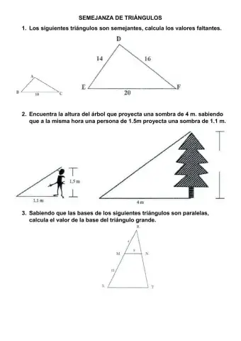 Semejanza de triángulos