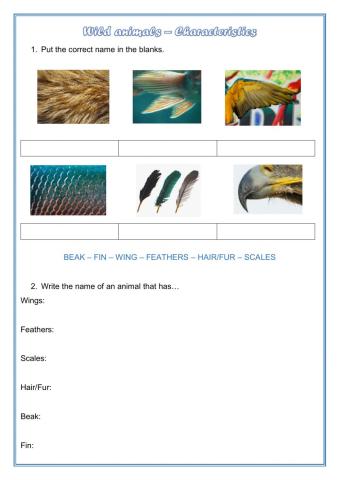 Wild animals - Characteristics