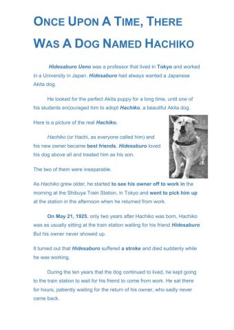 Hachiko and Selvakumar
