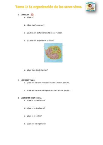 La organización de los seres vivos