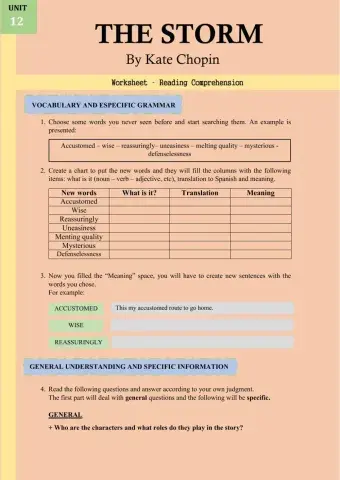 The Storm - Reading Comprehension - Worksheet