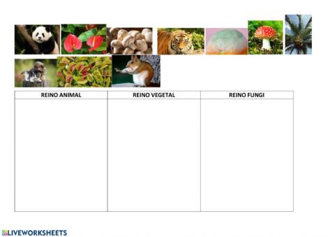 Los reinos de la naturaleza