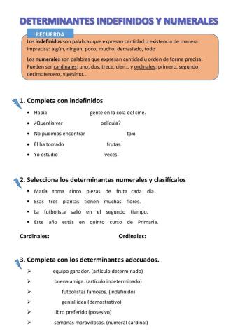 DETERMINANTES INDEFINIDOS Y NUMERALES