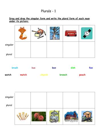 Plural Nouns 1